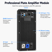 Module d'amplificateur audio bi-amplifié de classe D actif professionnel DSP 800W 15 pouces X2DM800-1