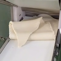 Machine à ramen japonaise commerciale XINAO, moteur automatique, pétrissage et découpe de la pâte, acier inoxydable, haute capacité 150 kg/h, nouilles