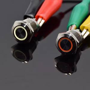 12mm Metall Druckknopf schalter Flach kopfring 3-6V 12V 24V 220V Selbst rück setzung Momentan Wasserdichtes Auto Auto Eng rot grün - Product Image 3