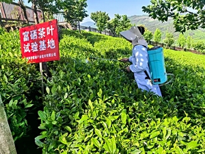 Phân bón hữu cơ chứa selen dạng lá, chất dinh dưỡng cho cây trồng, tăng cường khả năng chịu stress - Product Image 6