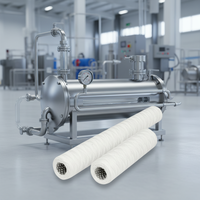 Filtre à fil enroulé personnalisé DM multi-industries, avec squelette en acier inoxydable, pour la dégraissage de récipients sous pression et le traitement de l'eau, 500 L/heure, 60