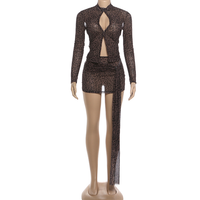 Robe longue de soirée sexy pour femme, imprimé léopard, col en V profond, manches longues, empiècements en maille, ourlet patchwork
