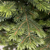Sapin de Noël Artificiel de Luxe Réaliste en PE/PVC de 2,4 m (8 pieds) sans Odeur pour Décoration Intérieure - Ventes Flash