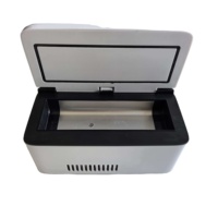 Étui portable pour stylo à peptides avec logo personnalisé, mini-réfrigérateur pour insuline, pour hôtel, camping, extérieur, congélateur, stockage à froid, réfrigérateur pour produits lyophilisés