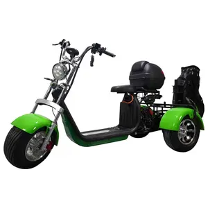 Golf çantası tutucu ile 2000W 3 tekerlekli elektrikli scooter motorlu Golf citycoco