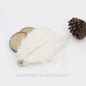 Plumes d'autruche colorées pour la décoration de vase à domicile en DIY - Product Image 4