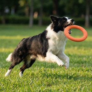 Jouet pour chien en silicone, anneau volant, jouet à mâcher, lanceur de balle, jouet d'entraînement pour jouer en extérieur - Product Image 1