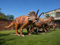 Produits de parc d'attractions à thème réaliste personnalisés, équipements électriques pour enfants et adultes, utilisation en intérieur/extérieur