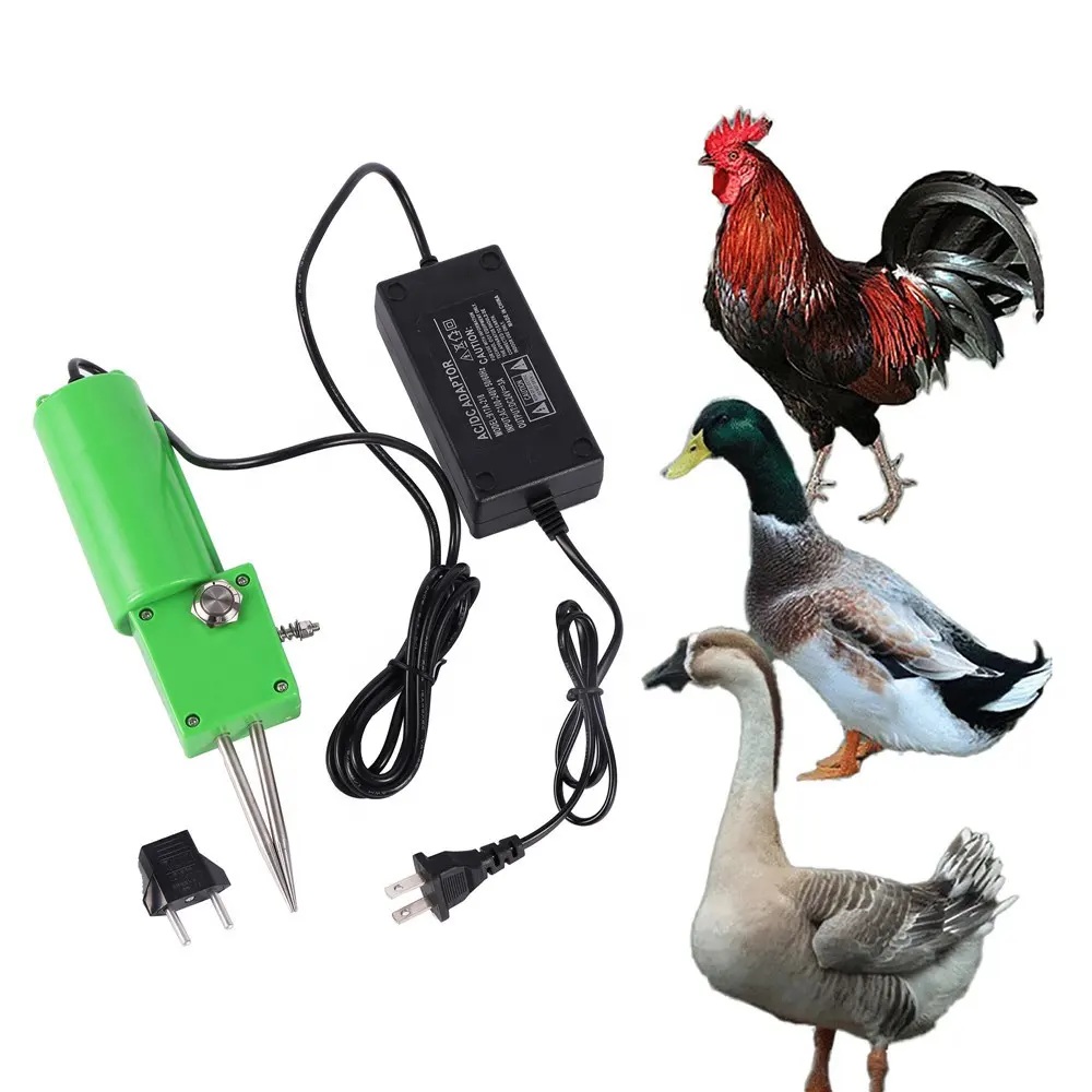 Machine électrique portative pour enlever les plumes de volaille, poulet, canard, d'oie