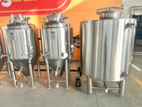 Réservoir d'eau glycolée à double enveloppe Carry Brewtech 600L avec isolation en PU pour microbrasserie et brasserie artisanale
