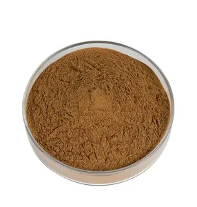 Geranium Extract Powder For Health Care Pelargonium Sidoides Extract