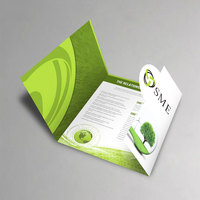 Impresión de Folletos Trípticos Personalizados para Empresas, Transformación Digital, Carpeta con Perfil de la Empresa, Folleto de Marketing Corporativo