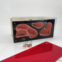 Kit Fourmilière en Béton avec Contrôle de Température et Abreuvoir pour Fourmis – Idéal pour l'Éducation et les Loisirs