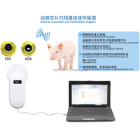 Étiquette d'oreille RFID pour animaux de ferme, porcs, moutons, bovins, taille 30*15mm, 134,2 KHz, puce EM4305 personnalisée
