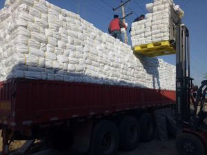 Lona impermeable de polietileno para estanque de peces, HDPE tejida de tela blanca, cubierta para camión - Product Image 6