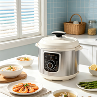 Cuisinière à pression électrique populaire de 5 L, décompression automatique, pot multifonction pour les repas quotidiens en famille