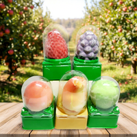 OEM Icedelight Crème glacée chinoise fruitée douce 75g 12 paquets Emballage en boîte