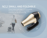 Sèche-cheveux et lisseur de salon professionnel avec design pliable, moteur DC 1000W, pour usage domestique et hôtelier