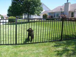 Vente flash clôture en aluminium avec portail réglable portails design moderne et clôture en acier - Product Image 5