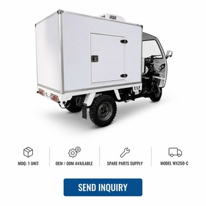 Triciclo de Carga Refrigerado de 250CC a Gasolina con Caja Aislada, Capacidad de Carga de 500KG, Triciclo de Tres Ruedas para Entrega de Carne Fresca - Product Image 6