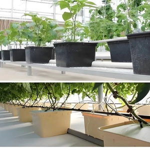 Sistema di Vasi in Plastica Commerciale Tipo Dutch Bucket per Serre - Product Image 2