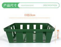 Panier rond en plastique d'ampoule de tamis de semis d'utilisation de jardin de grande qualité pour des plantes