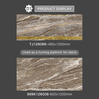 Carreaux de marche antidérapants en porcelaine de style européen moderne, résistants aux acides, 480x1200mm pour escaliers et revêtements de sol ACCENTS High