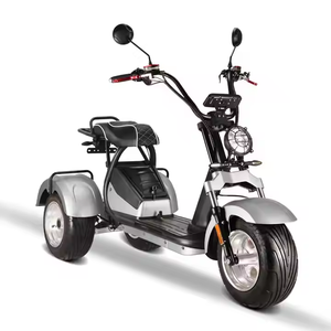 Triciclo Eléctrico Loyal de 3 Ruedas, Scooter con Doble Motor de 2000W/4000W, GPS, Plegable, Resistente al Agua, Baterí<span class=keywords><strong>a</strong></span> de Litio, Autonomí<span class=keywords><strong>a</strong></span> de 60-100 km - Product Image 3