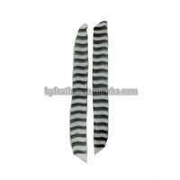 Véritable aile naturelle tir à l'arc flèche plume empennage aubes plume de dinde pour bricolage tir à l'arc chasse cible tir flèche accessoire