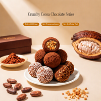 Disponible en OEM/ODM : Boules de chocolat truffé au noix, enrobées de cacao, confiserie, collation