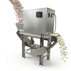 Máquina Peladora de <span class=keywords><strong>Ajo</strong></span> Automática Tipo Cadena 200kg/h, Peladora de <span class=keywords><strong>Ajo</strong></span> Industrial de Acero Inoxidable para Fábrica de Alimentos, Certificación CE - Product Image 1