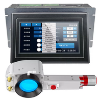 Machine de nettoyage au laser à fibre portable JPT Mopa 300W, refroidie par air, à impulsions, pour l'élimination de la rouille et de la peinture sur métal, bois et acrylique