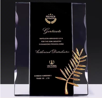 Trophée en verre personnalisé avec cadre en cristal, impression UV, design gravé étanche pour les sports