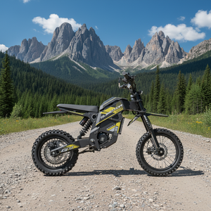 Nouveau modèle de <span class=keywords><strong>moto</strong></span> électrique tout-terrain puissante 48V 3000W G1, disponible en stock entrepôt US - Product Image 5