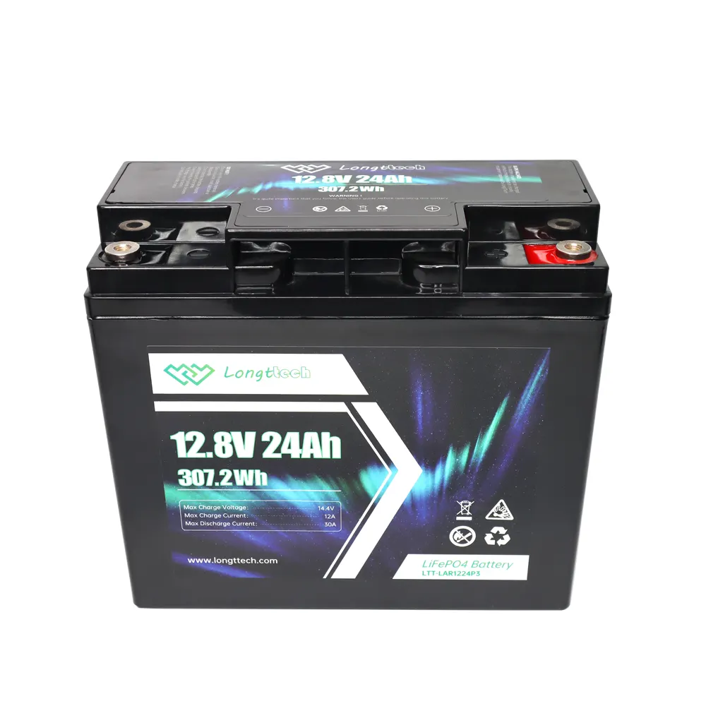 Batteria Deep Cycle 12V 24V 100Ah 200Ah LiFePO4 con spedizione gratuita BMS in ucraina