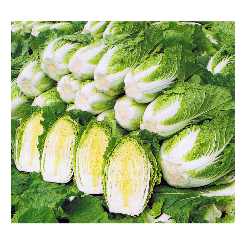 Капуста пекинская - купить, цена 20 руб., продано 3 февраля 2018 - Продукты пита