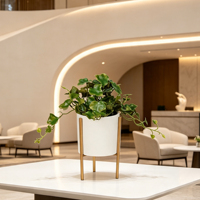 Prix promotionnel : Plantes artificielles en pot, petites plantes vertes, décoration de table intérieure, fausse plante d'intérieur