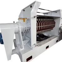 Machine à Huile de Graines d'Arachide de Haute Qualité et Efficacité à Pressage à Froid Fabriquée en Chine