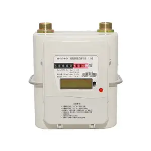 IC Card Prepaid Gas Meter Model G4 And G1.6 Steel Shell Gas Meter Mechanical Test Instrument