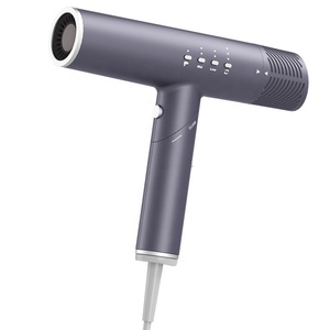 Vente de sèche-cheveux à moteur ionique Mini BLDC pliable léger portable sur buse de concentrateur pour usage domestique - Product Image 1