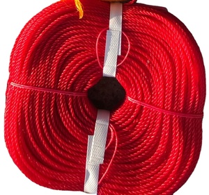 Polietileno Fibra Rosca RopePe Cordas 10 Meter <span class=keywords><strong>Pe</strong></span> Rope em Azul Vermelho Verde Amarelo 3mm a 50mm <span class=keywords><strong>PE</strong></span> Cordas - Product Image 2