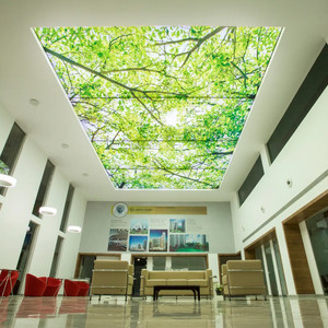 Papel tapiz de techo <span class=keywords><strong>3d</strong></span> autoadhesivo para decoración del hogar - Product Image 2