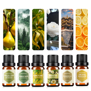 Dịch vụ chuyên nghiệp 6pcs khuếch tán tinh dầu đặt hoa nhài OEM tốt nghiệp hương thơm nhà hương liệu cam chanh thư giãn bình tĩnh tâm trạng - Product Image 2