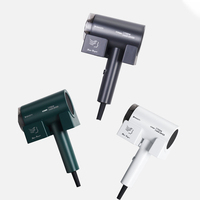Sèche-cheveux professionnel ionique CDWK Guangdong Novelty 1700W à moteur DC, contrôlé par application, avec buse concentratrice, fixation murale, pour hôtel