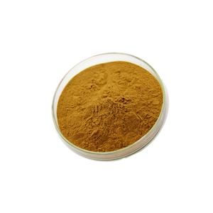 مسحوق خيار البحر الطبيعي النقي ، خلاصة بذور الخيار الهجين من الدرجة الغذائية - Product Image 3