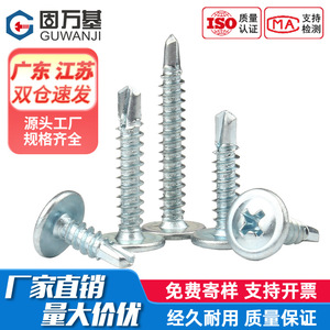 Vis autoperceuses Guwanji M4.2 M4.8 à tête ronde, zinguées bleu-blanc, pour la construction - Product Image 5