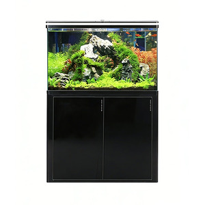 Acquario <span class=keywords><strong>Sen</strong></span> per Soggiorno con Fondo in Vetro, Illuminazione LED e Alta Trasparenza per Pesci Rossi - Product Image 1