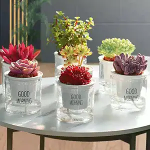 屋内オフィスラウンド水耕透明ガラスポット屋内植木鉢自己散水プラスチック植木鉢バルク