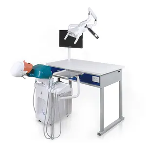 Maniquí de simulador dental para enseñanza simulador dental simulador de cabeza fantasma dental