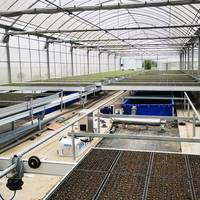 Serre agricole multi-travées HANGDI avec couverture en film, système logistique automatique, pour semis, vente directe usine